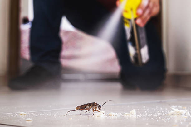 Best Exterminator Services  in Gunnison, CO